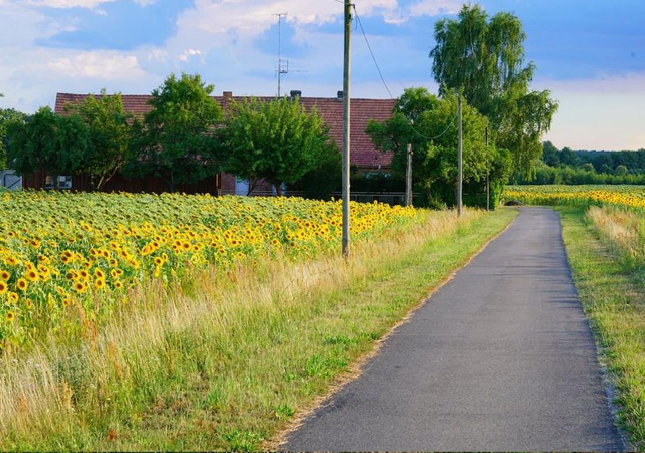 Ferienhaus Elpare Schleife Bagian luar foto